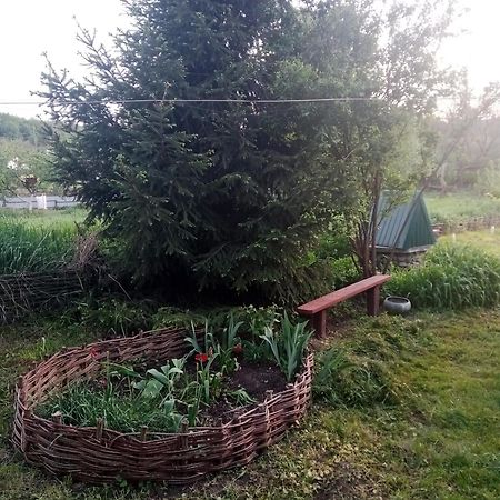 Дибинецькі Карпати Dybintsy 외부 사진