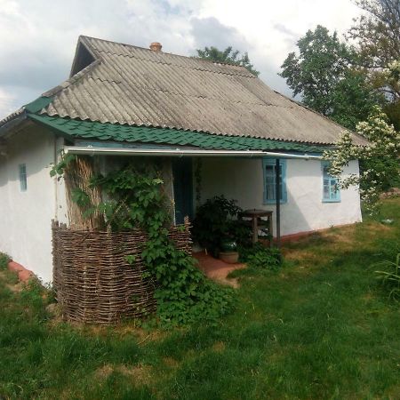Дибинецькі Карпати Dybintsy 외부 사진