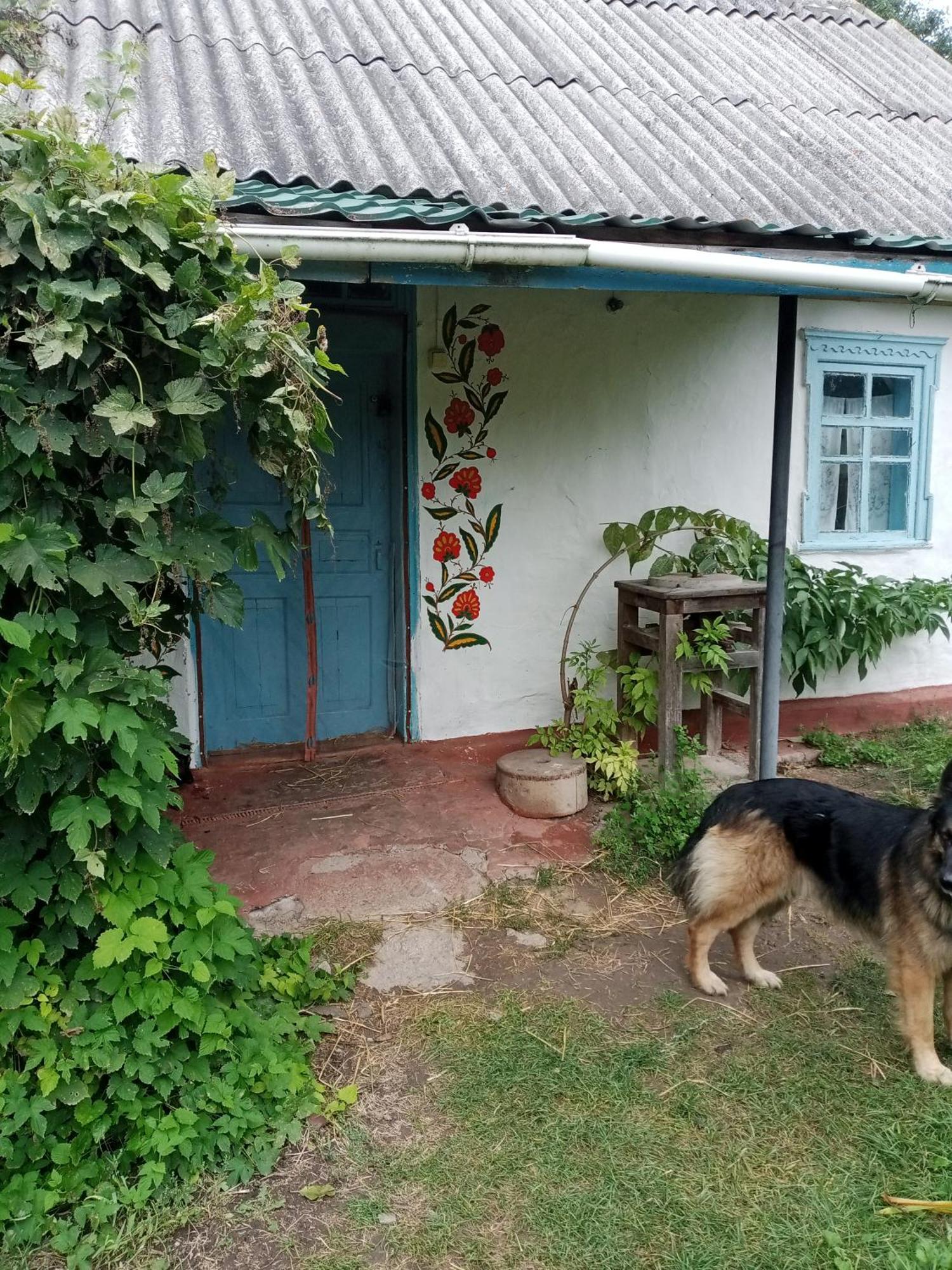 Дибинецькі Карпати Dybintsy 외부 사진
