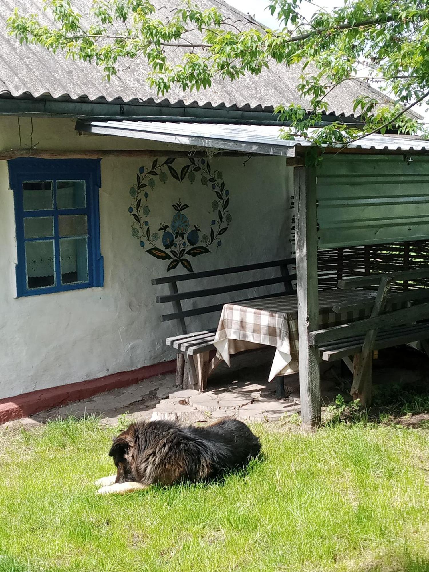 Дибинецькі Карпати Dybintsy 외부 사진
