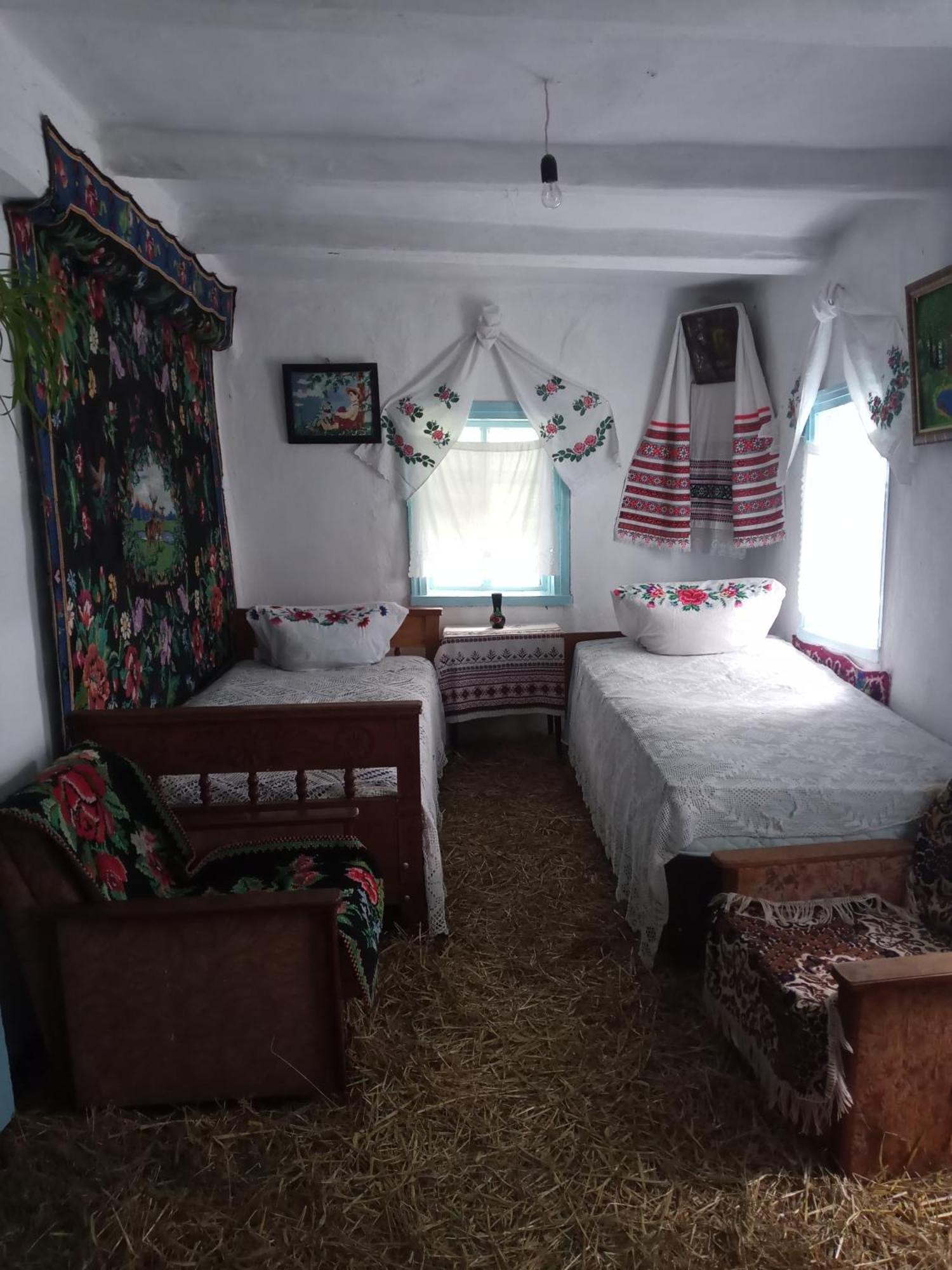 Дибинецькі Карпати Dybintsy 외부 사진